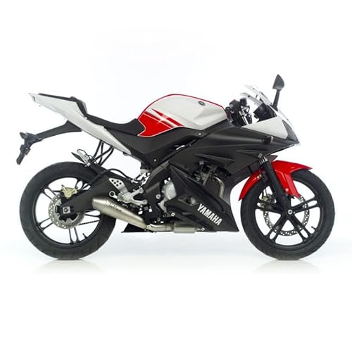 SBK GPstyle YAMAHA YZF-R 125 i.e. 1x1 INOX SBK GPstyle YAMAHA YZF-R 125 i.e. 1x1 INOX von LeoVince