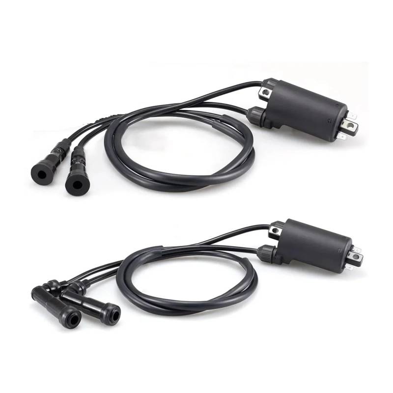 Zündspulen 2 Pcs Für CB650 CB750 CB900 CB1000 1979-1983 Für Goldwing 1100 1200 GL 1100 1200 Für Nighthawk 650 750 Zündung Spule & Kappen Zündeinheit von Lhdktee