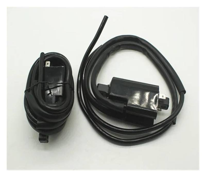 Zündspulen 2 Teile/los Zündspule 12V Für Suzuki GSF600 GSF400 GSF1200 Für Bandit Für GSF 400 600 1200 1991-2004 CDI Zündspulen Zündeinheit von Lhdktee