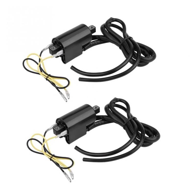 Zündspulen 2PCS 12V Zündspule Für Suzuki GSF400 GSF600 GSF1200 Für Bandit 1991-2004 Motorrad Zündspule Zündeinheit von Lhdktee