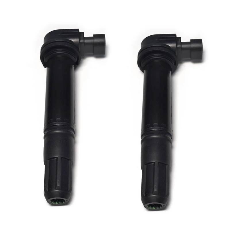 Zündspulen Für Benelli TRK502 TRK502X BJ500 Für Leoncino 500 502C 752S Motorrad Zündspule Assy Set Zündeinheit(2St) von Lhdktee