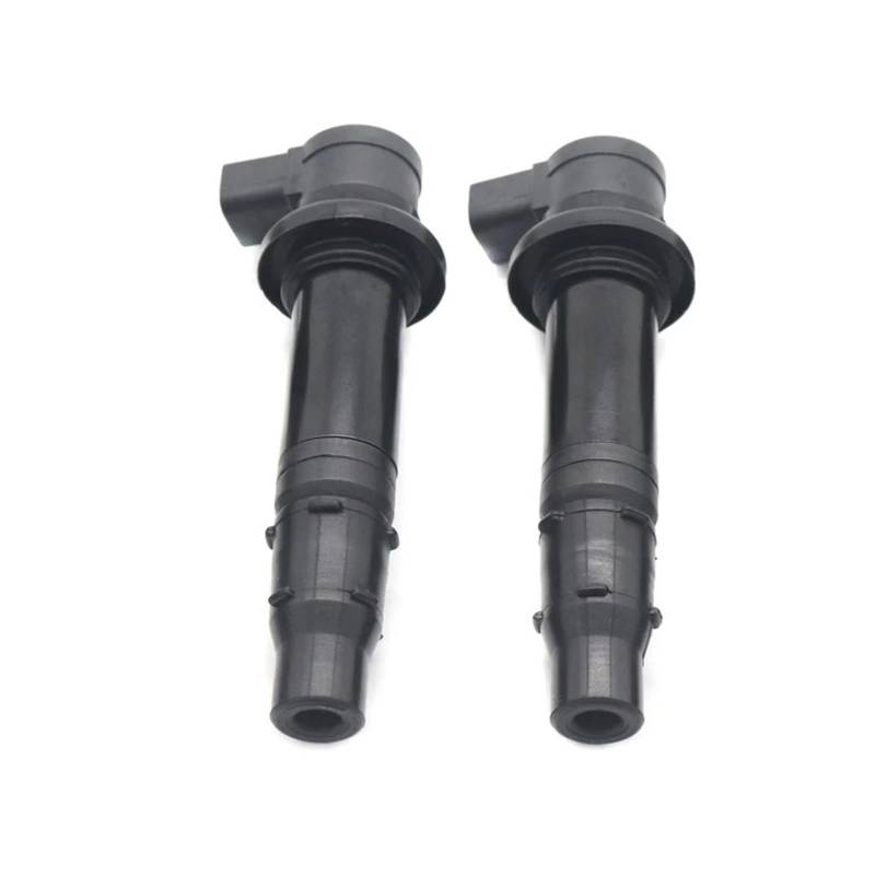 Zündspulen Zündspule Für FZ1 Für V-MAX 1700 Für YZF-R1 Für YZF-R6 Für Venture FX Für Nytro SR Für Viper Für RX-1 5VY-82310-00-00 Zündeinheit(2St) von Lhdktee