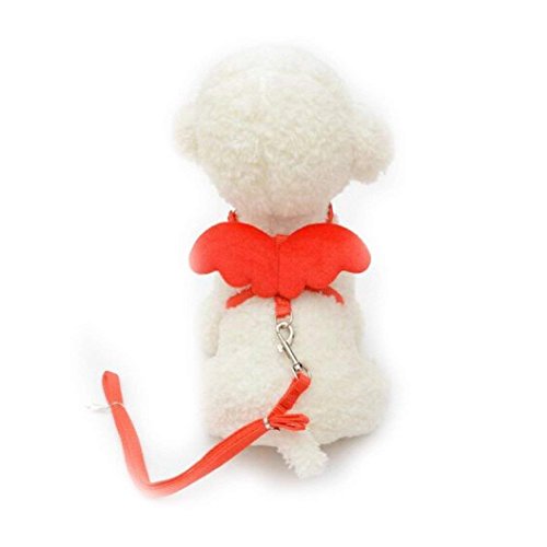 Lomire Haustier Hund Brustgurt, Hund Niedlich Einstellbare Brust Nylon Leine Halsbänder Set für Kleine Haustier Sicherheitsweste Blei (M, Rot) von Lomire