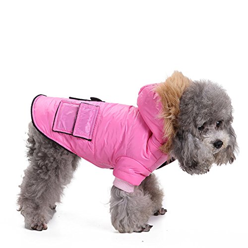 Haustier-Mantel, Baumwolle gefütterte Weste-Jacken-Knopf-Taschen-windundurchlässige kalte Winter-warme Haustier-kleine Hundekleidung-Brust-Schutz-im Freien beiläufige Sport-Mantel-Weste 2 Farbe u. 5 Größe ( Color : Pink , Size : M ) von Longwei