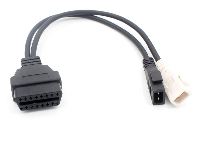 LoongGate Old 2x2 zu OBDII 16 Pin Adapter Stecker Kabel 4 Pin Pass Through Für Autos (40 cm) von LoongGate