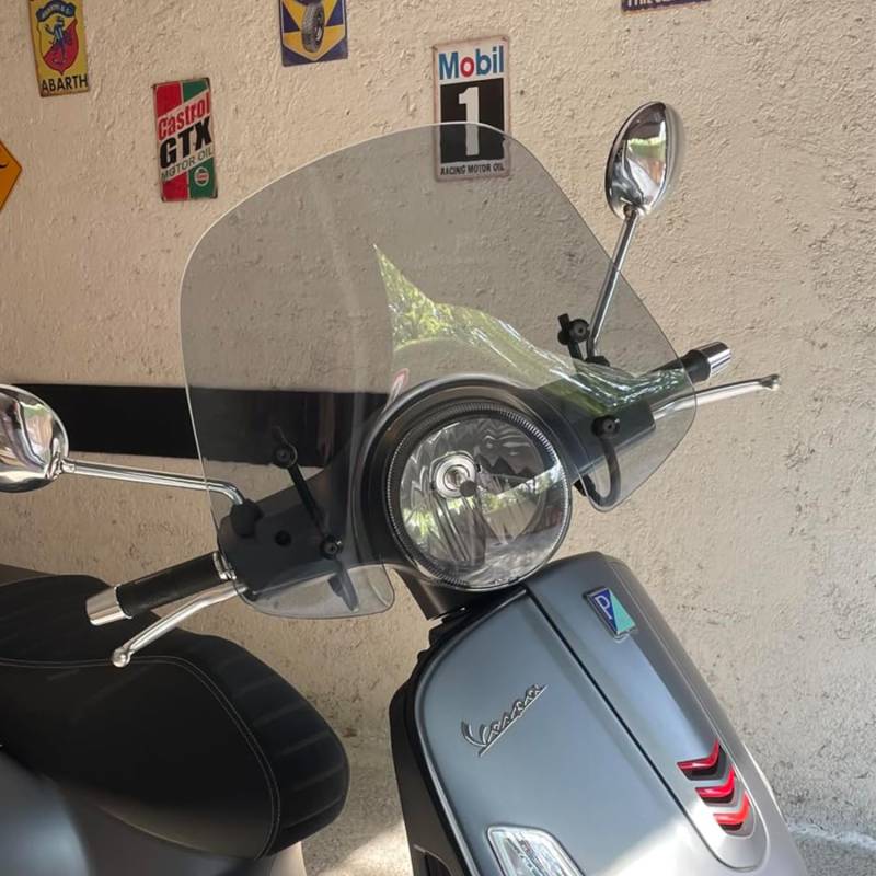 Motorrad Scooter Windschild Windabweiser Mit Halterung Kompatibel mit GTS 250 300 GTS250 GTS300 2017 2018 2019, Windschutzscheibe Windschutz Wind Luftabweiser (Geräuchert) von Lorababer