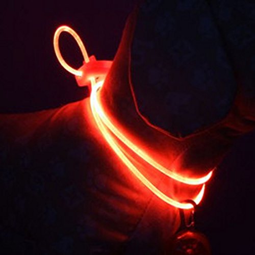 Fashion LED Sicherheit Halsband Pet Hund Anhänger LED Clip auf Nacht Licht von LovelyLifeAST