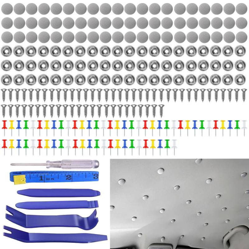 Lucktao 126pcs Auto Dachhimmel Reparatur Set,KFZ Reparatur Nieten Set,Universal Autohimmel Reparatur Set,Auto Dachhimmel Reparatur Knopf,Auto Himmel Reparieren,mit Stecknadeln,Schraubendreher, Maßband von Lucktao