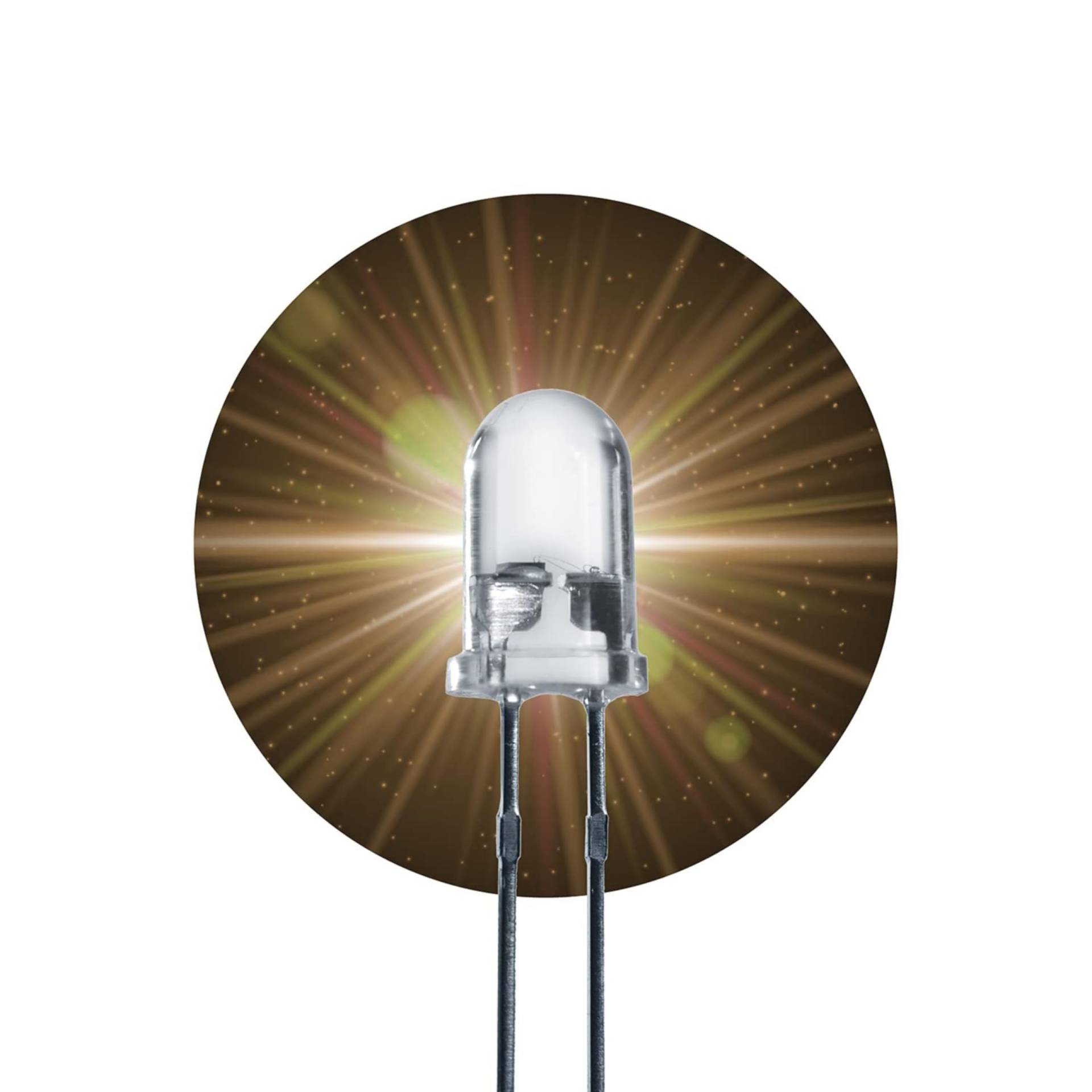 Lumetheus LED 5mm Farbe warm weiß 5000 mcd 100 Stück weiße Leuchtdioden ca. 3V Diode 2 Pin LEDs Gehäuse klar Lumetheus LED 5mm Farbe warm weiß 5000 mcd 100 Stück weiße Leuchtdioden ca. 3V Diode 2 Pin LEDs Gehäuse klar von Lumetheus