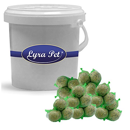90 x 90 g Lyra Pet Meisenknödel mit Netz Fettfutter für Vögel + 10 L Eimer Weiss von Lyra