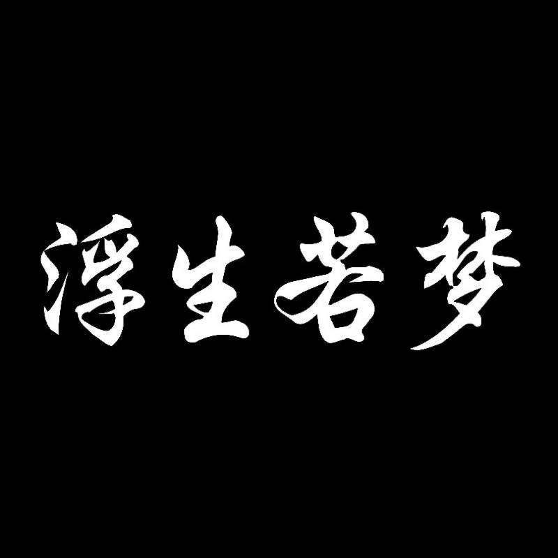 MACMRD Auto Aufkleber 17 cm * 5 cm Mode Auto Aufkleber Chinesische Schriftzeichen Das Leben Ist Wie EIN Traum Dekor Vinyl Aufkleber Wasserdicht von MACMRD