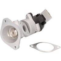 AGR Ventil MAGNETI MARELLI 571822112034 AGR Ventil MAGNETI MARELLI 571822112034 von Magneti Marelli