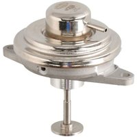 AGR Ventil MAGNETI MARELLI 571822112131 AGR Ventil MAGNETI MARELLI 571822112131 von Magneti Marelli