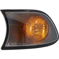 Blinker MAGNETI MARELLI 710311330001 Links Blinker MAGNETI MARELLI 710311330001 Links von Magneti Marelli