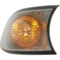 Blinker MAGNETI MARELLI 710311330002 Rechts Blinker MAGNETI MARELLI 710311330002 Rechts von Magneti Marelli