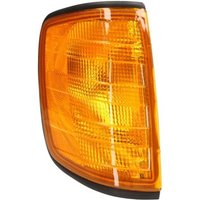 Blinkleuchte MAGNETI MARELLI 711305233109 Blinkleuchte MAGNETI MARELLI 711305233109 von Magneti Marelli