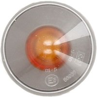 Blinkleuchte MAGNETI MARELLI 715102096120 Blinkleuchte MAGNETI MARELLI 715102096120 von Magneti Marelli