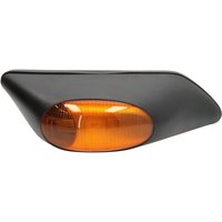 Blinkleuchte MAGNETI MARELLI 715142066000 Blinkleuchte MAGNETI MARELLI 715142066000 von Magneti Marelli