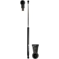 Gasfeder, Koffer-/Laderaum MAGNETI MARELLI 430719010000 Gasfeder, Koffer-/Laderaum MAGNETI MARELLI 430719010000 von Magneti Marelli