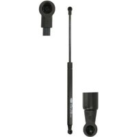 Gasfeder, Koffer-/Laderaum MAGNETI MARELLI 430719050100 Gasfeder, Koffer-/Laderaum MAGNETI MARELLI 430719050100 von Magneti Marelli