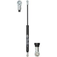 Gasfeder, Koffer-/Laderaum MAGNETI MARELLI 430719063300 Gasfeder, Koffer-/Laderaum MAGNETI MARELLI 430719063300 von Magneti Marelli