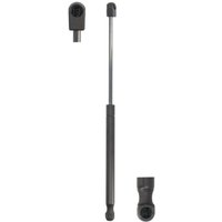 Gasfeder, Koffer-/Laderaum MAGNETI MARELLI 430719073400 Gasfeder, Koffer-/Laderaum MAGNETI MARELLI 430719073400 von Magneti Marelli