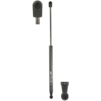 Gasfeder, Koffer-/Laderaum MAGNETI MARELLI 430719089600 Gasfeder, Koffer-/Laderaum MAGNETI MARELLI 430719089600 von Magneti Marelli
