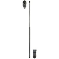 Gasfeder, Motorhaube MAGNETI MARELLI 430719026800 Gasfeder, Motorhaube MAGNETI MARELLI 430719026800 von Magneti Marelli