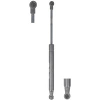 Gasfeder, Motorhaube MAGNETI MARELLI 430719066900 Gasfeder, Motorhaube MAGNETI MARELLI 430719066900 von Magneti Marelli