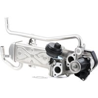 MAGNETI MARELLI AGR-Modul 571822112069  VW,AUDI,SKODA,Polo Schrägheck (6R1, 6C1),A3 Schrägheck (8P1),A3 Sportback (8PA),A1 Sportback (8XA, 8XF) von MAGNETI MARELLI