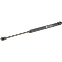 MAGNETI MARELLI Heckklappendämpfer Ausschubkraft: 340N 430719024000 Kofferraum Dämpfer,Gasfeder Heckklappe RENAULT,CLIO II (BB0/1/2_, CB0/1/2_) MAGNETI MARELLI Heckklappendämpfer Ausschubkraft: 340N 430719024000 Kofferraum Dämpfer,Gasfeder Heckklappe RENAULT,CLIO II (BB0/1/2_, CB0/1/2_) von MAGNETI MARELLI