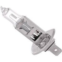 MAGNETI MARELLI Glühlampe, Fernscheinwerfer H1 002551100000 VW,AUDI,MERCEDES-BENZ,Golf IV Schrägheck (1J1),POLO (9N_) MAGNETI MARELLI Glühlampe, Fernscheinwerfer H1 002551100000 VW,AUDI,MERCEDES-BENZ,Golf IV Schrägheck (1J1),POLO (9N_) von MAGNETI MARELLI