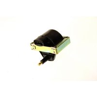 Zündspule MAGNETI MARELLI 060717014012 Zündspule MAGNETI MARELLI 060717014012 von Magneti Marelli