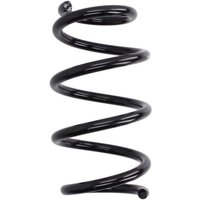 Fahrwerksfeder MAGNUM TECHNOLOGY SC053MT Fahrwerksfeder MAGNUM TECHNOLOGY SC053MT von Magnum Technology