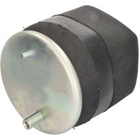 Federbalg, Luftfederung MAGNUM TECHNOLOGY 5002-03-0231P von Magnum Technology