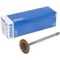 MAHLE ORIGINAL Einlaßventil Einlassseite 029 VE 30528 000 VW,AUDI,SKODA,Golf IV Schrägheck (1J1),Golf V Schrägheck (1K1),POLO (9N_),TOURAN (1T1, 1T2) MAHLE ORIGINAL Einlaßventil Einlassseite 029 VE 30528 000 VW,AUDI,SKODA,Golf IV Schrägheck (1J1),Golf V Schrägheck (1K1),POLO (9N_),TOURAN (1T1, 1T2) von MAHLE ORIGINAL