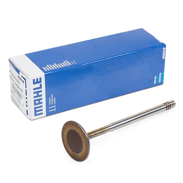 MAHLE ORIGINAL Einlaßventil VW,AUDI,SKODA 029 VE 30528 000 036109601S,036109601AD,036109601AL 36109601S von MAHLE ORIGINAL