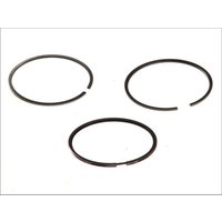 Kolbenringsatz MAHLE 029 55 N0 von Mahle
