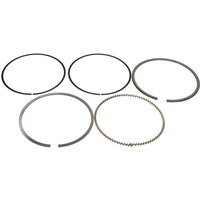 Kolbenringsatz MAHLE 040 16 N0 von Mahle