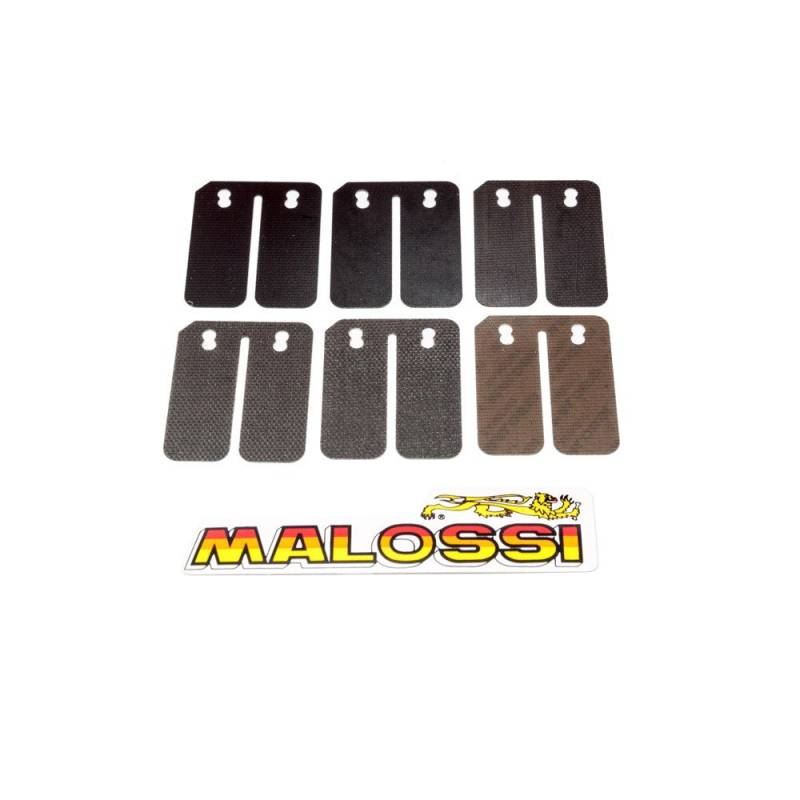 Einlassmembrane MALOSSI Carbon - Peugeot-JETFORCE 50 C-TECH von MALOSSI