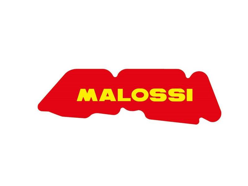 Luftfilter Malossi Einsatz Sport - NRG MC2 - MC3 - Power - Zip - Liberty - Runner - Stalker - Storm - DNA - Ice - Mojito - Sportcity - Vespa LX - S von MALOSSI