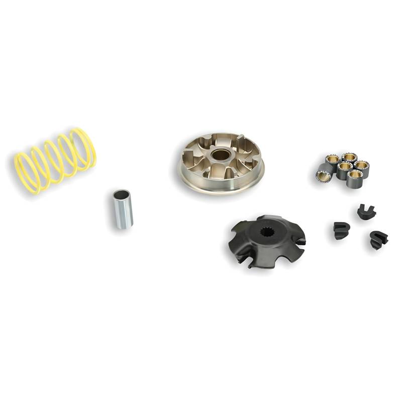 Malossi Variator Multivar 2000 for Aprilia Scarabeo Benelli K2 100/100 / MBK Ovetto Booster 100, 100 MBK/Yamaha/Aerox BWs, N - 100 von MALOSSI