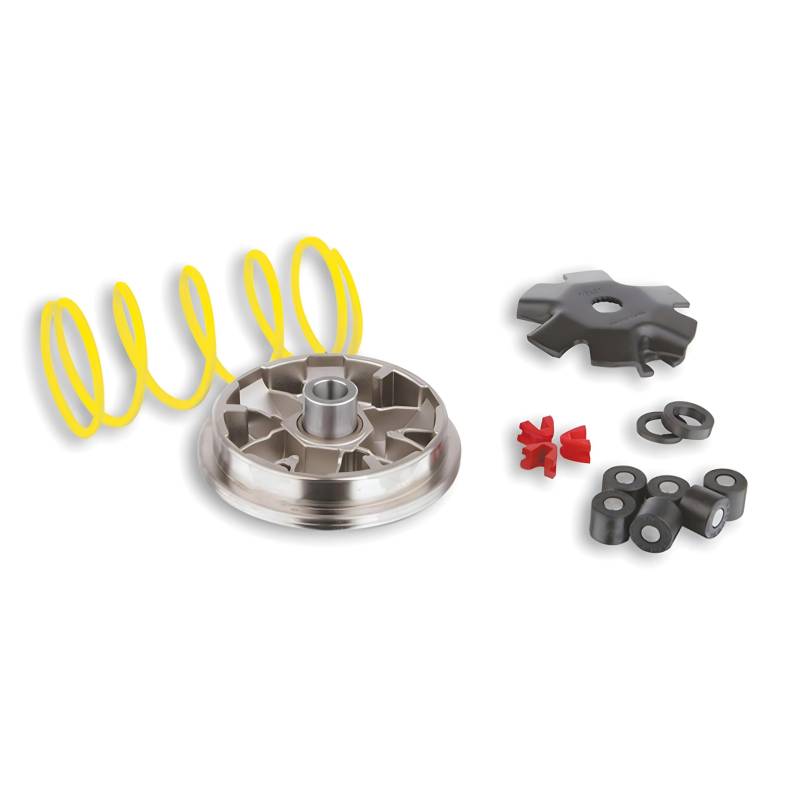 Variator Malossi Multivar für Piaggio Sfera/Zip (Bj. 91-94), Gegendruckfeder: Weiss, Gewichte: 16x13mm - 6,00gr von MALOSSI