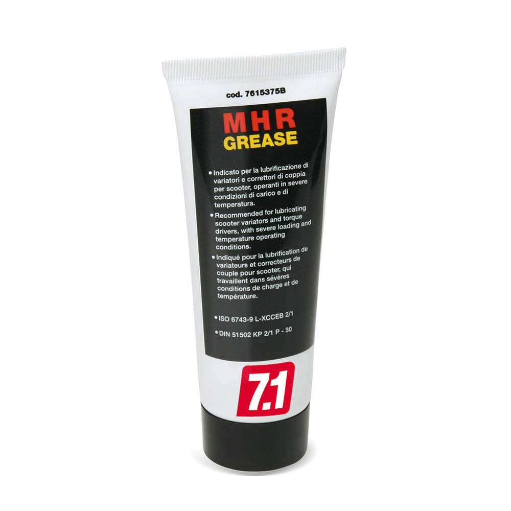 Wandlerfett Malossi Schmierfett MRG GREASE 40g Wandlerfett Malossi Schmierfett MRG GREASE 40g von MALOSSI