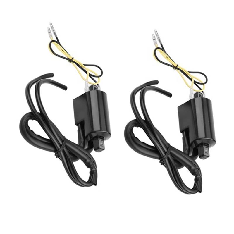 Zündeinheit 2PCS Für Suzuki GSF400 GSF600 GSF1200 Für Bandit Für GSF 1200 400 600 1991-2004 Zündspule Motorrad Zündung Spule Zündspule von MALTAY