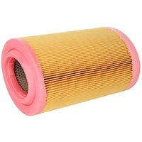 Luftfilter MANN-FILTER C 18 003 Luftfilter MANN-FILTER C 18 003 von Mann-Filter