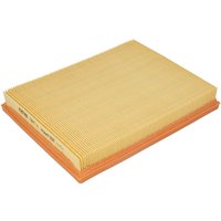 Luftfilter MANN-FILTER C 2569 Luftfilter MANN-FILTER C 2569 von Mann-Filter