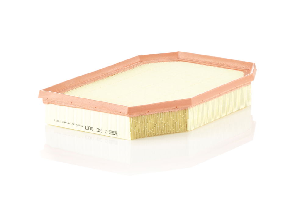 Luftfilter MANN-FILTER C 30 003 von MANN-FILTER