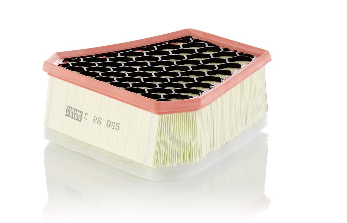MANN-FILTER Luftfilter FIAT C 26 065 1395975080 Motorluftfilter,Filter für Luft von MANN-FILTER