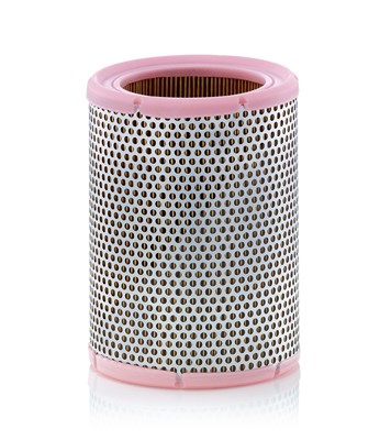 Mann-filter Luftfilter [Hersteller-Nr. C1362] für Aro, Aston Martin, Dacia, Lotus, Renault, Volvo von MANN-FILTER